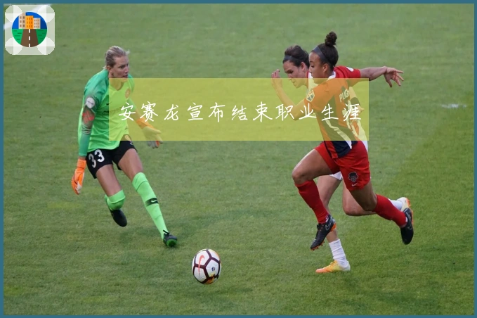 安赛龙宣布结束职业生涯